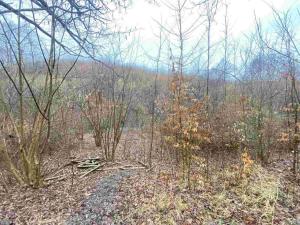 Prodej pole, Ždánice, 3207 m2