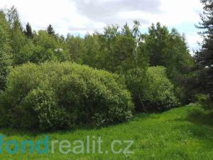 Prodej pozemku, Slavonice - Stálkov, 27662 m2