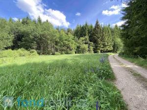 Prodej pozemku, Slavonice - Stálkov, 27662 m2