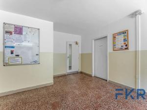 Prodej bytu 2+kk, Brno, Arménská, 53 m2