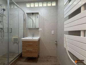 Pronájem bytu 2+1, Havířov, Dělnická, 48 m2