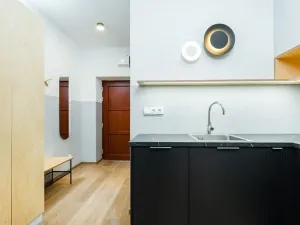 Prodej bytu 1+kk, Praha - Žižkov, Milíčova, 29 m2