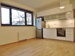 Pronájem bytu 2+kk, Praha - Holešovice, Dělnická, 64 m2