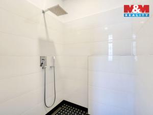 Prodej rodinného domu, Lázně Kynžvart, J. E. Purkyně, 600 m2