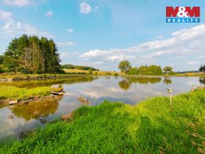 Prodej rybníku, Olbramov - Zádub, 6672 m2