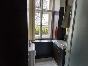 Pronájem bytu 1+1, Brno, Cejl, 28 m2