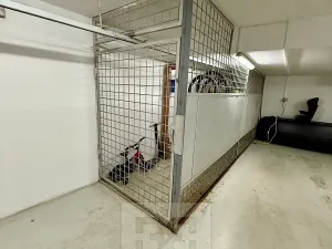 Prodej bytu 3+kk, Praha - Vokovice, Na krutci, 119 m2