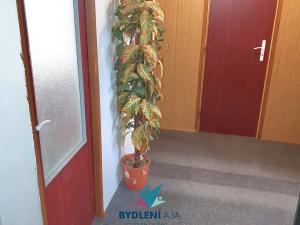 Prodej bytu 3+1, Krupka, Dukelských hrdinů, 68 m2