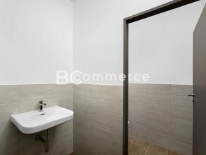 Pronájem výrobních prostor, Brno, Vinohradská, 446 m2