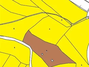 Prodej lesa, Pelhřimov, 11380 m2