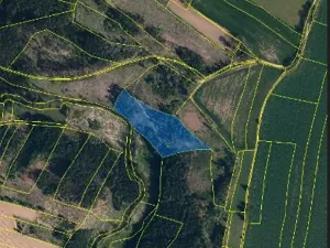 Prodej lesa, Pelhřimov, 11380 m2