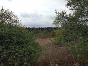 Pronájem zahrady, Dolní Kounice, 1406 m2