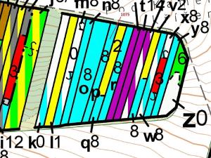 Dražba lesa, Dolní Vilémovice, 1134 m2