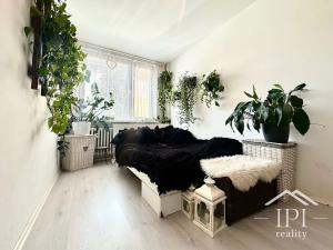 Pronájem bytu 2+kk, Praha - Petrovice, Jakobiho, 43 m2