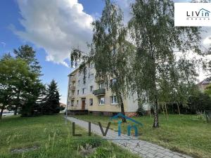 Prodej bytu 3+1, Olomouc, Ječmínkova, 67 m2