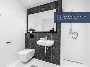 Pronájem bytu 1+kk, Brno, Cejl, 31 m2