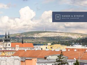 Pronájem bytu 1+kk, Brno, Cejl, 31 m2