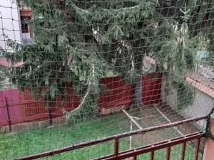 Prodej bytu 3+kk, Břeclav, Žižkova, 72 m2