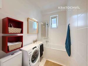 Pronájem bytu 1+kk, Praha - Karlín, Thámova, 24 m2