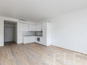 Pronájem bytu 1+kk, Praha - Karlín, Křižíkova, 36 m2