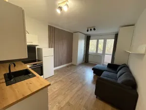 Pronájem bytu 1+kk, Ústí nad Labem, Baráčnická, 33 m2