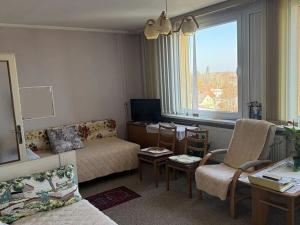 Prodej bytu 1+1, Český Brod, Palackého, 40 m2