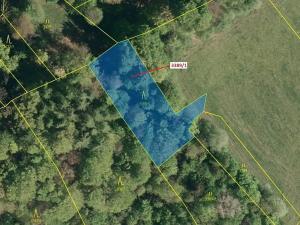 Dražba lesa, Zděchov, 1617 m2