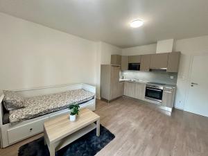 Pronájem bytu 1+kk, Praha - Košíře, Starokošířská, 30 m2