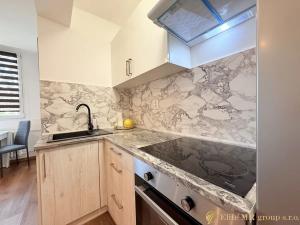 Prodej bytu 2+kk, Mladá Boleslav, Na Radouči, 42 m2