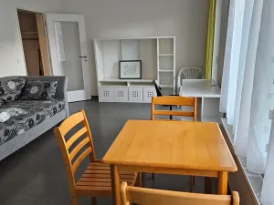 Pronájem bytu 1+kk, Brno, Stará, 38 m2