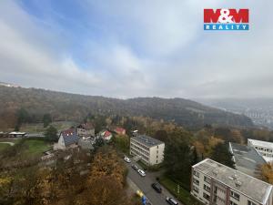 Pronájem bytu 1+kk, Ústí nad Labem - Ústí nad Labem-centrum, Hoření, 22 m2