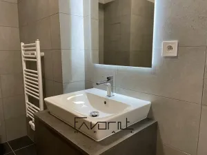 Pronájem bytu 1+kk, Ostrava, Hasičská, 35 m2