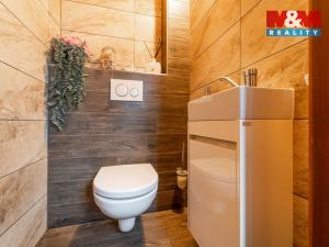 Prodej obchodního prostoru, Bechyně, 340 m2