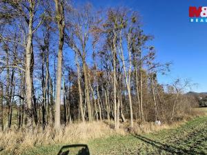 Prodej pole, Rožnov pod Radhoštěm, 7427 m2