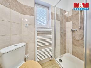 Prodej bytu 2+1, Černý Důl - Čistá v Krkonoších, 52 m2