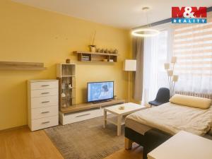 Prodej bytu 1+1, Břeclav, U Splavu, 39 m2