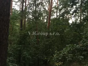Prodej lesa, Bradlec, 4578 m2