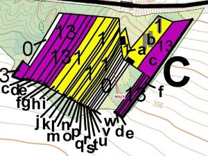 Dražba lesa, Březník, 234 m2