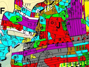 Dražba lesa, Žirovnice, 1388 m2