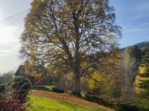 Prodej chaty, Malá Morava - Sklené, 35 m2