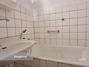 Prodej bytu 2+1, České Budějovice, Žižkova tř., 69 m2