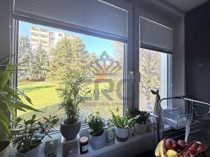 Prodej bytu 1+1, Brno - Kohoutovice, Prokofjevova, 36 m2