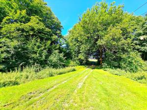 Prodej zemědělské usedlosti, Bratřejov, 200 m2