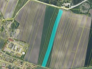 Prodej pole, Černuc, 50127 m2