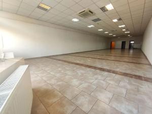 Pronájem obchodního prostoru, Ostrava, Vítkovická, 166 m2