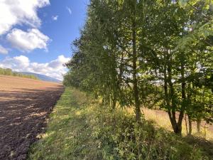 Prodej lesa, Lánov - Horní Lánov, 15996 m2