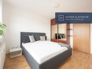 Pronájem bytu 1+kk, Brno, třída Generála Píky, 97 m2