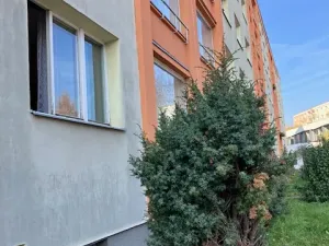 Prodej bytu 3+1, Praha - Břevnov, Nad alejí, 76 m2