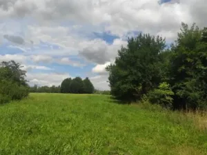 Dražba pozemku, Jihlava, 381291 m2