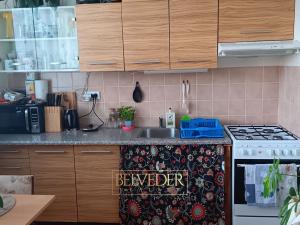 Pronájem bytu 1+1, Teplice, Vančurova, 35 m2